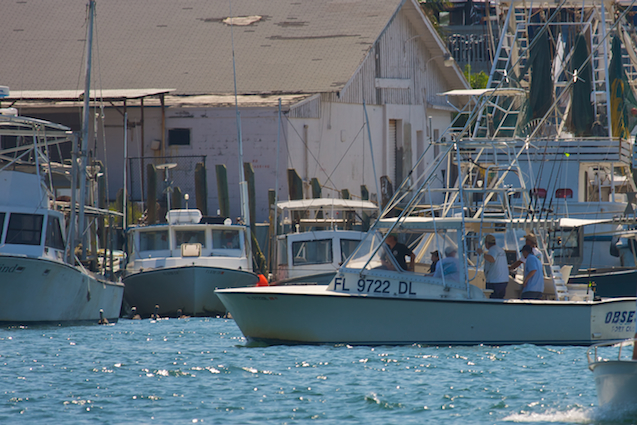 The Obsession Charter Fishing Boat